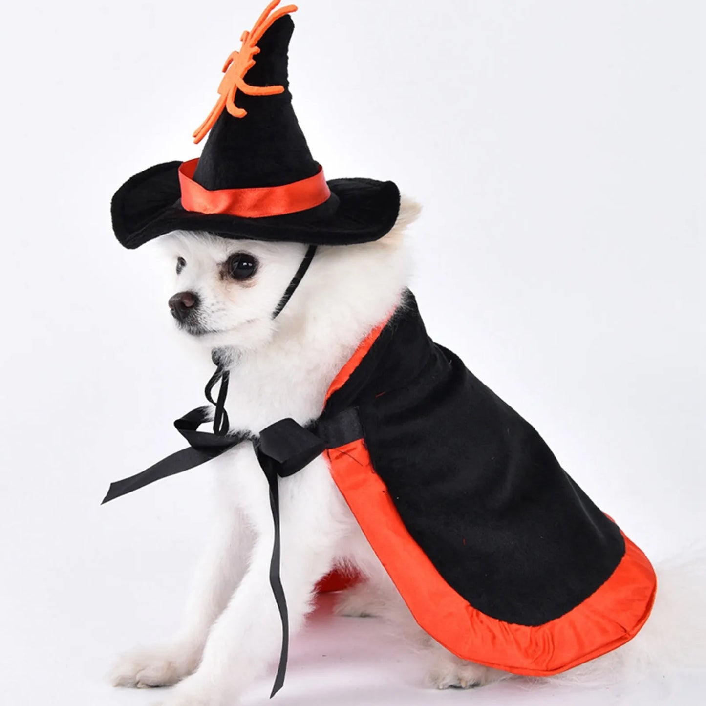 Halloween Costume With Witch Hat