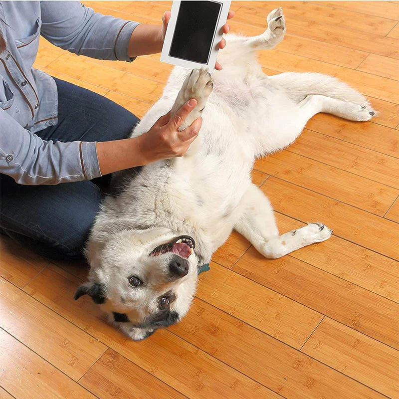 No-Touch Pet Paw Print