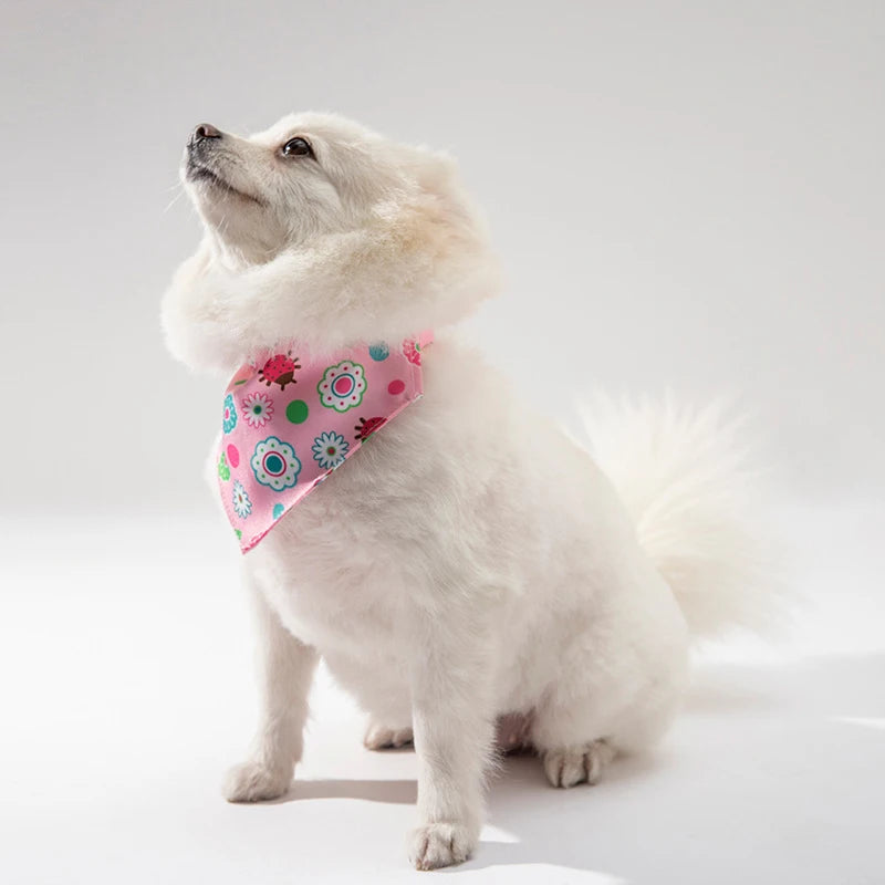Bandana Collar Scarf