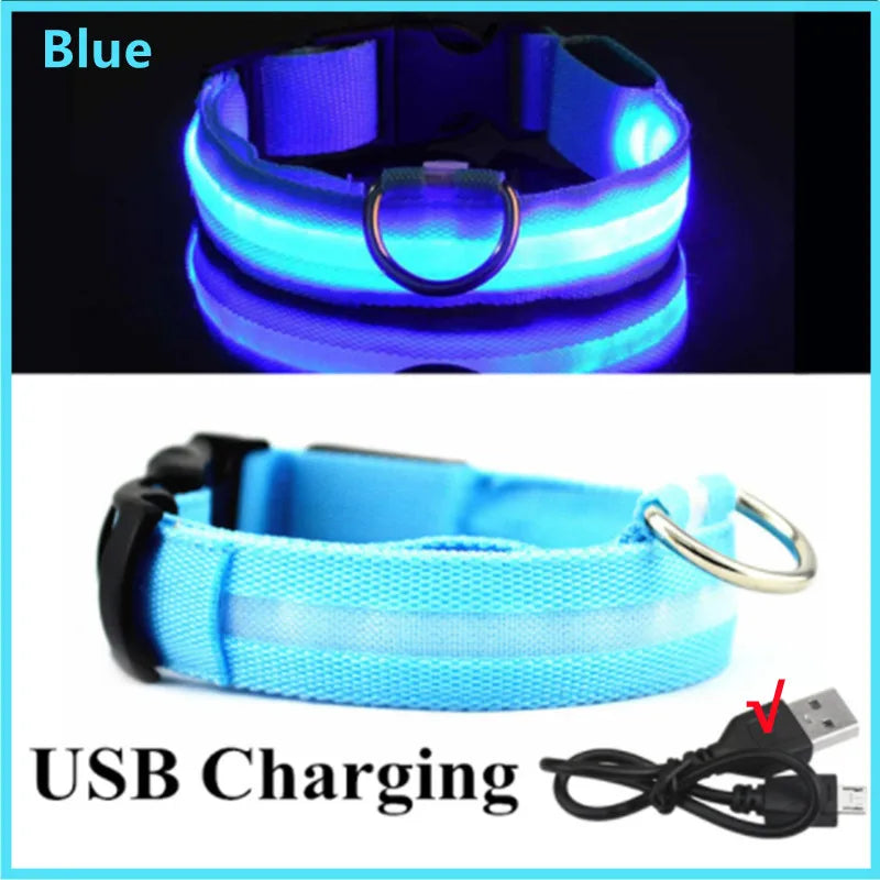 Luminous Collar