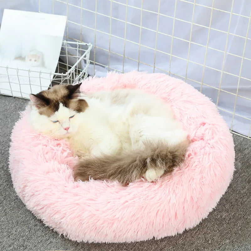 Super Soft Plush Bed