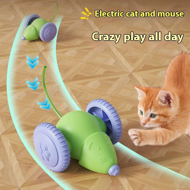 Electric Mouse Car