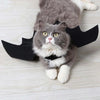 Black Bat Wings Harness, Halloween Costume Cosplay