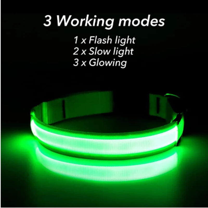 Luminous Collar
