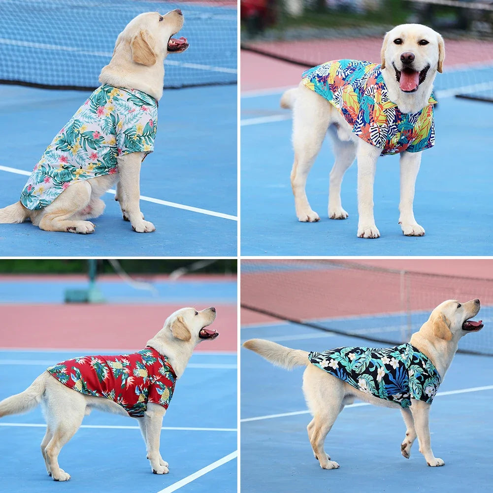 Hawaii Style