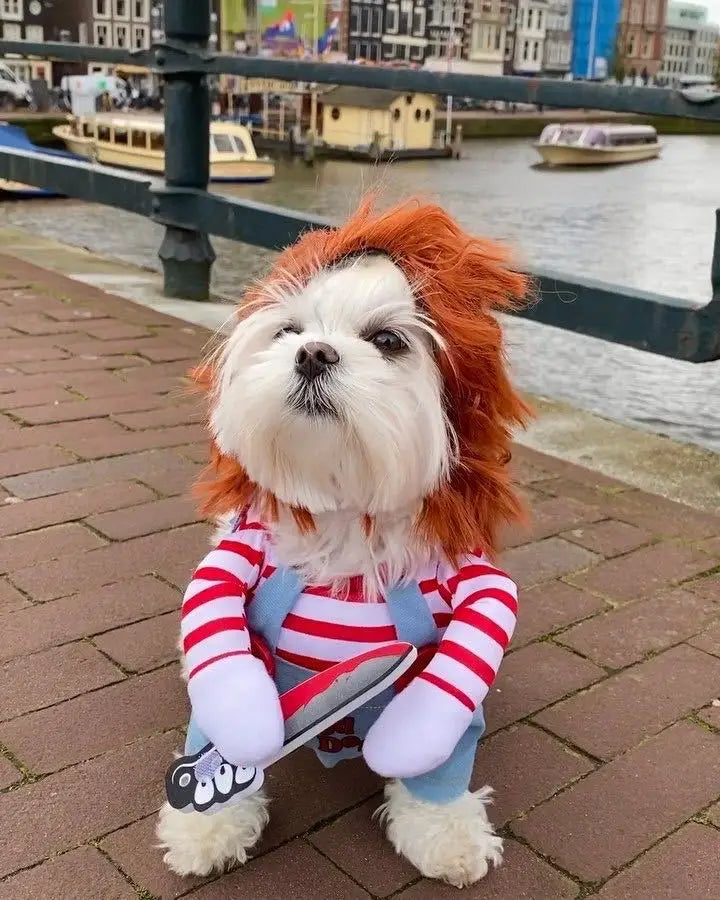 Halloween Cosplay Costume Dog Dress for Small & Medium Dogs