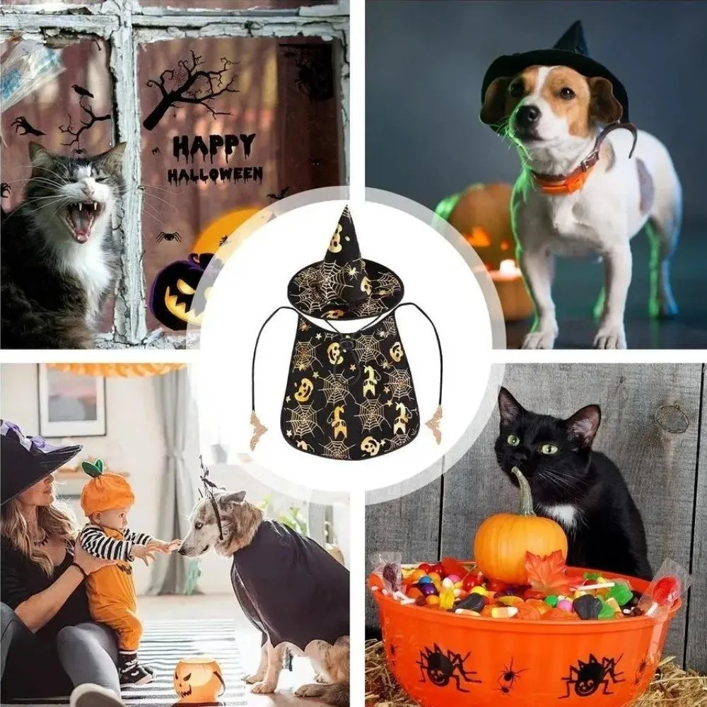 Funny Pumpkin Pet Halloween Costumes Cape