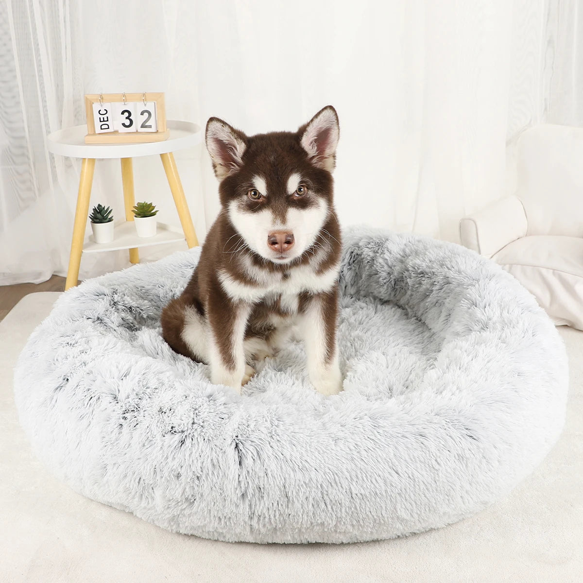 Large Round Donut Bed
