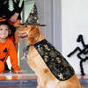 Cool Pumpkin Pet Halloween Costumes Cape