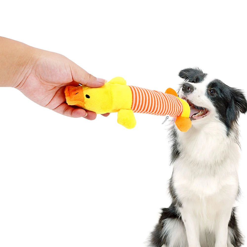 NICEYARD، Squeak Chew Sound