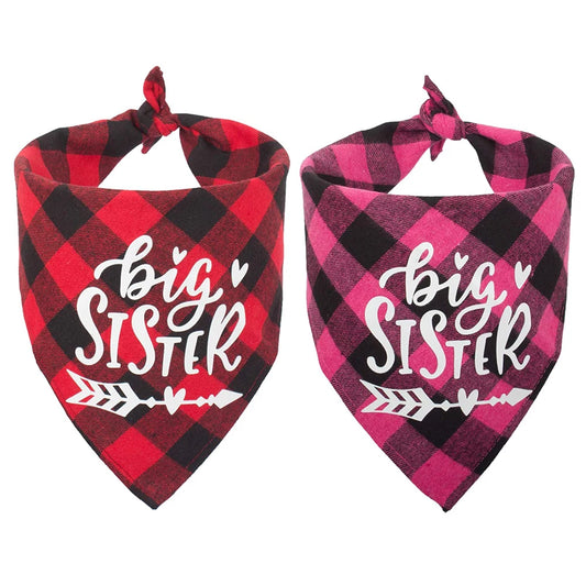Sucado Big Sister