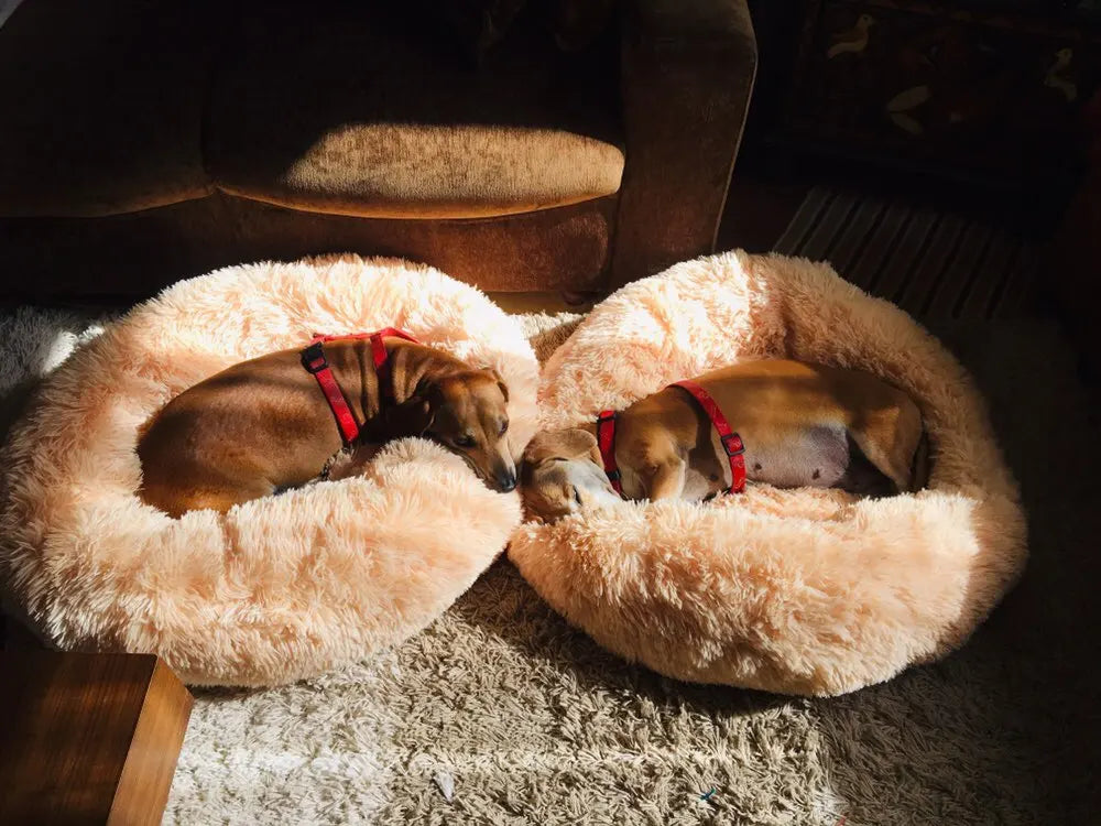 Pet Calming Donut Bed