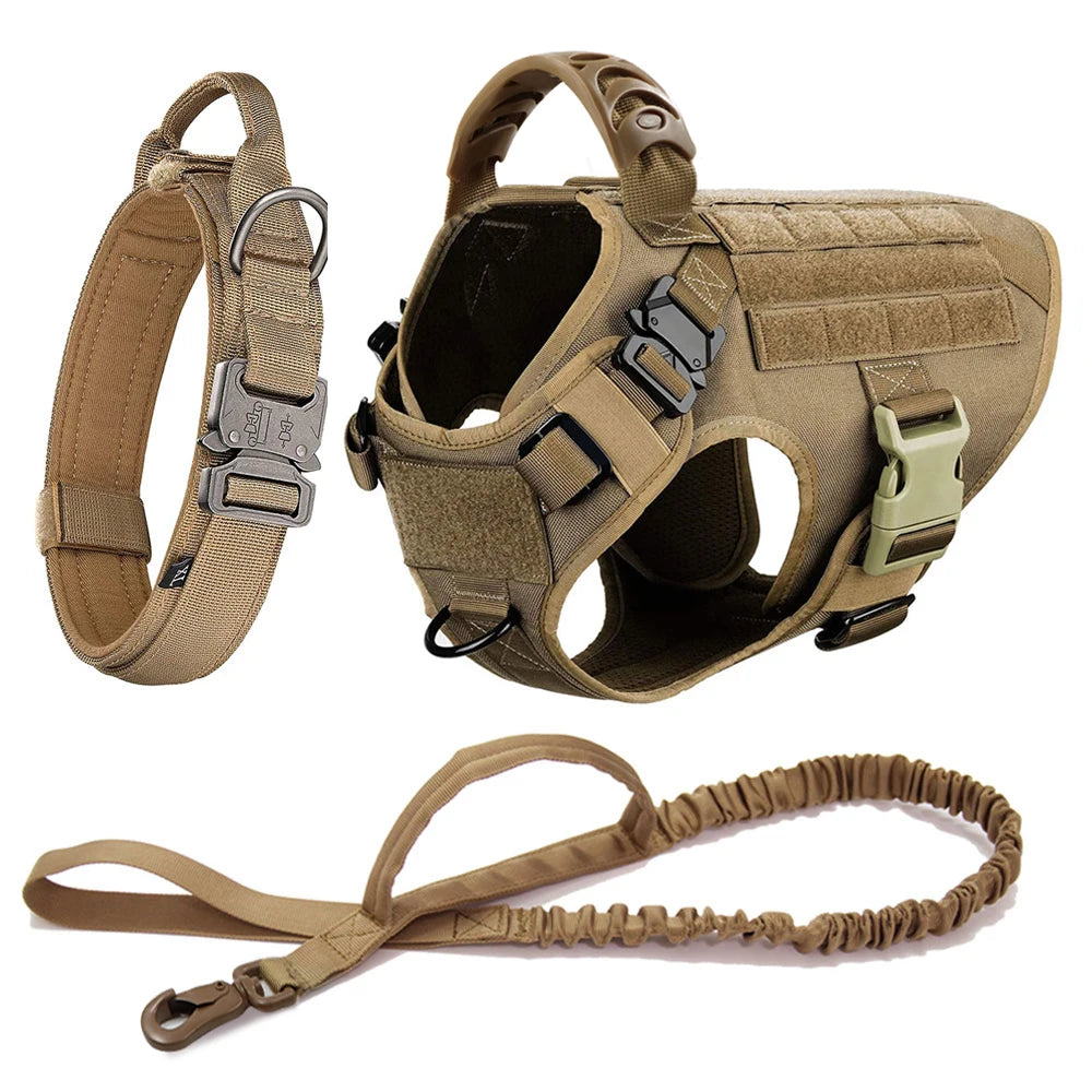 Large Dog Harness Collar Leash