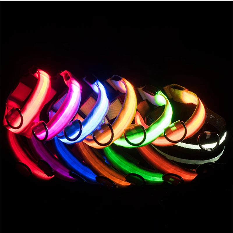 Luminous Collar
