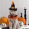 Halloween Pet Costume Set with Adjustable Elastic Hat Collar - Pumpkin Style