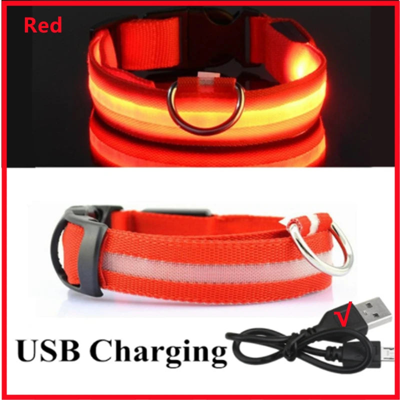 Luminous Collar