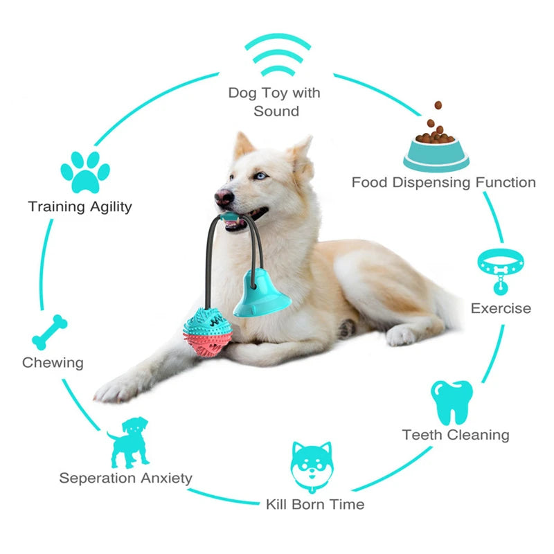 Dog Food Toy Silicon Suction Cup
