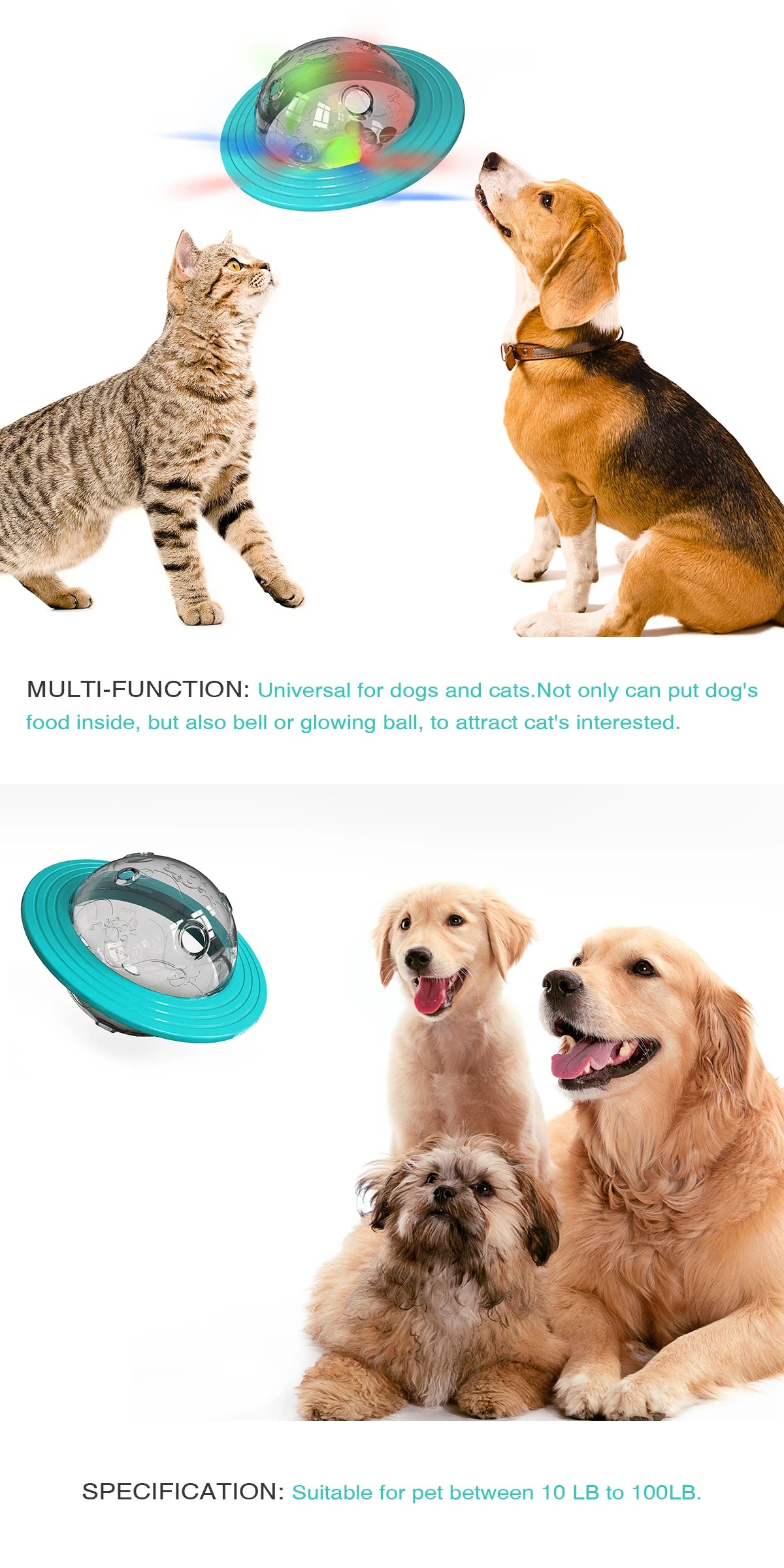 Feeder Toy