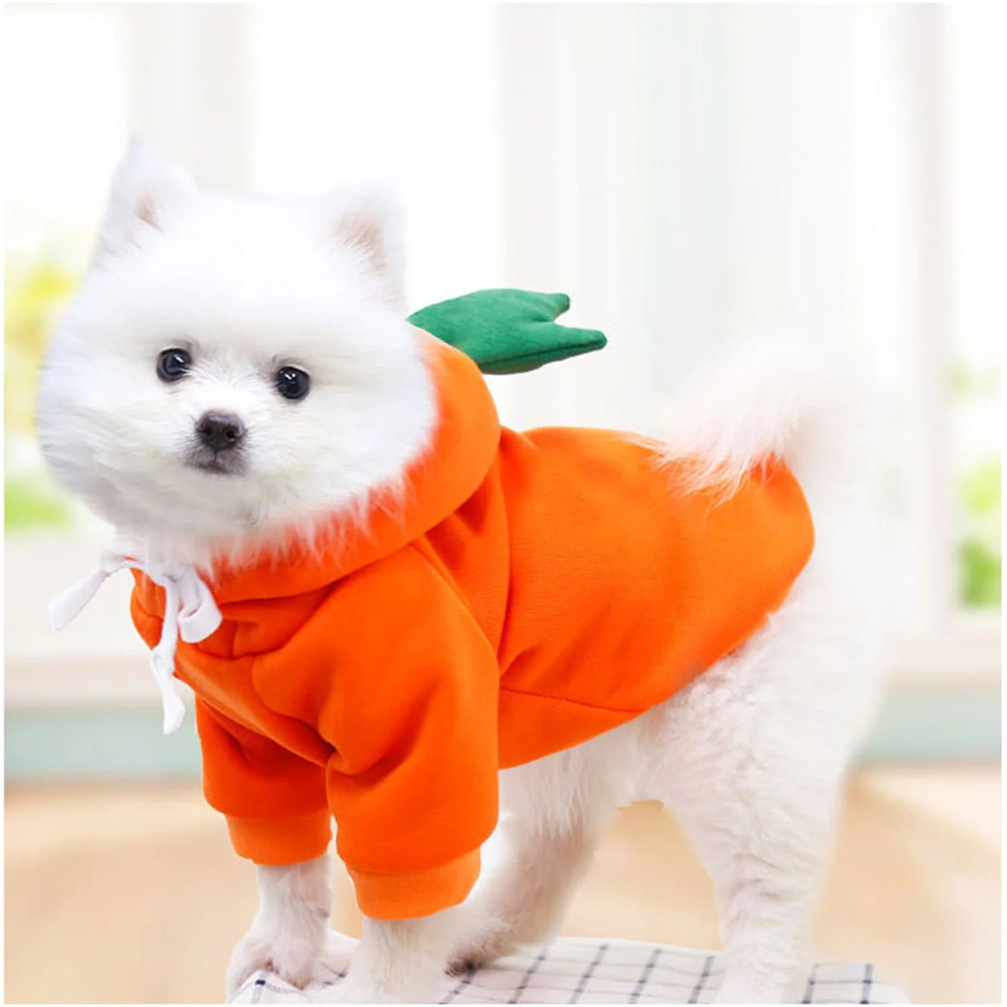 Carrot  Frog Hoodie