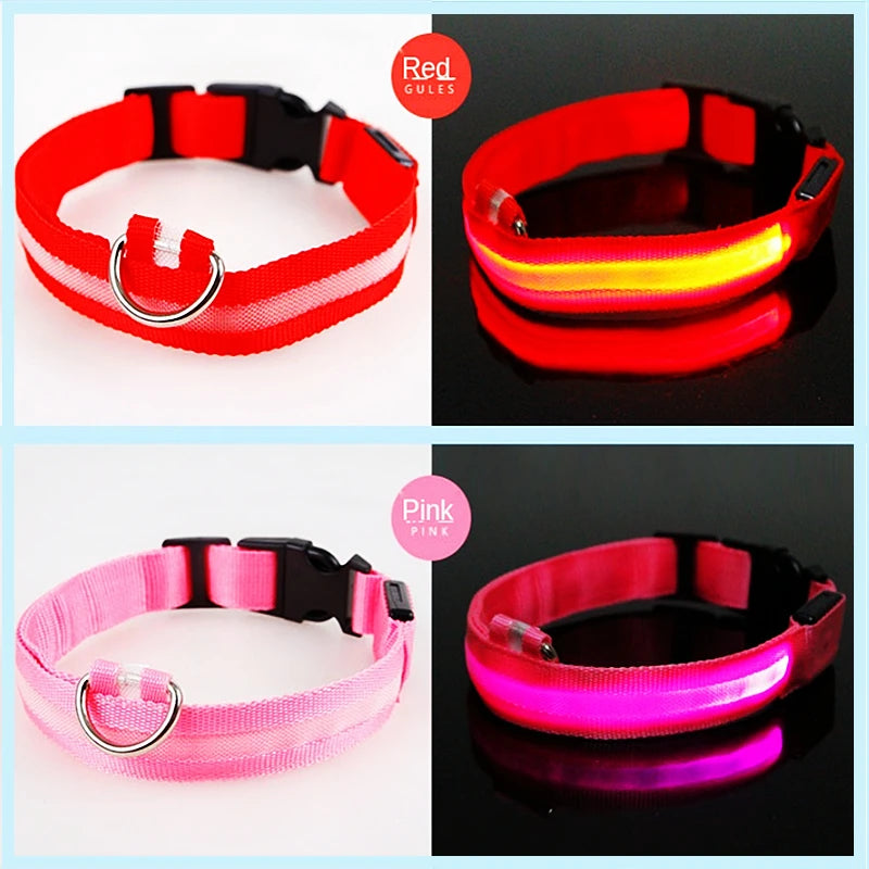 Luminous Collar
