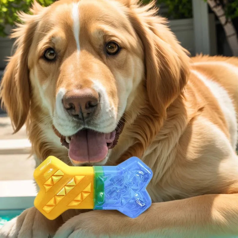 Summer Cooling Toy