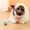 Smart Puppy Ball Toy