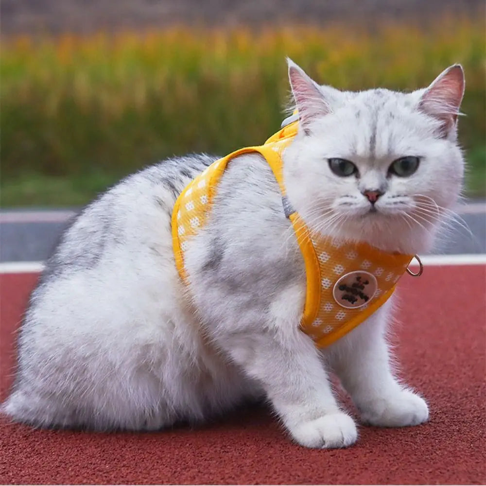 Stylish & Comfortable Dog Harness Leash