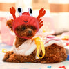 Cute Crab Frog Pet Hat