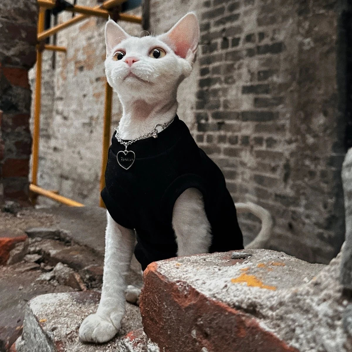 Sphynx، Summer Sleeveless Thin Vest