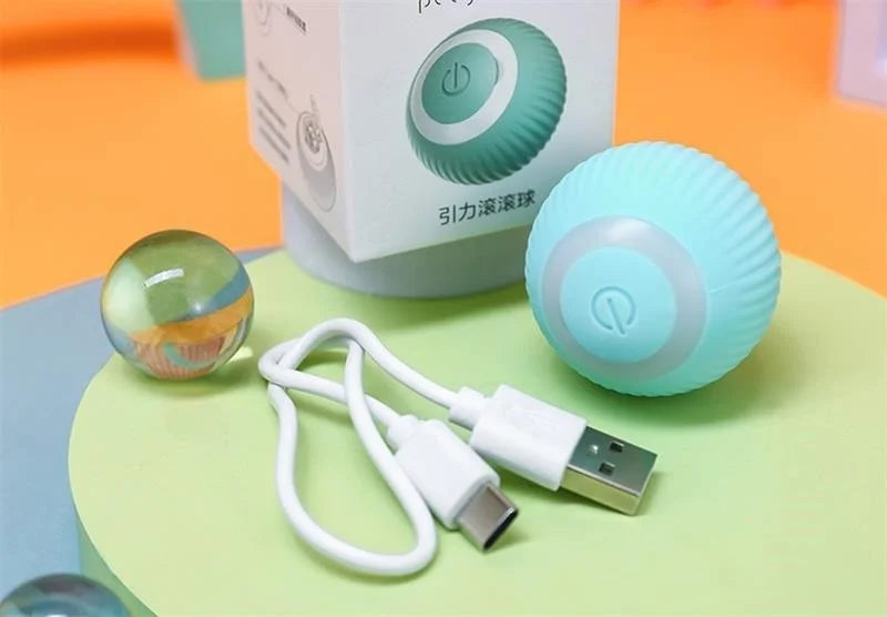 Smart Puppy Ball Toy