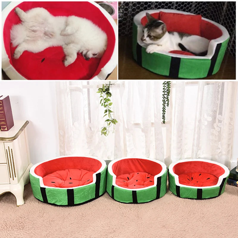 Comfort Warm Cushion