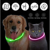 Luminous Collar
