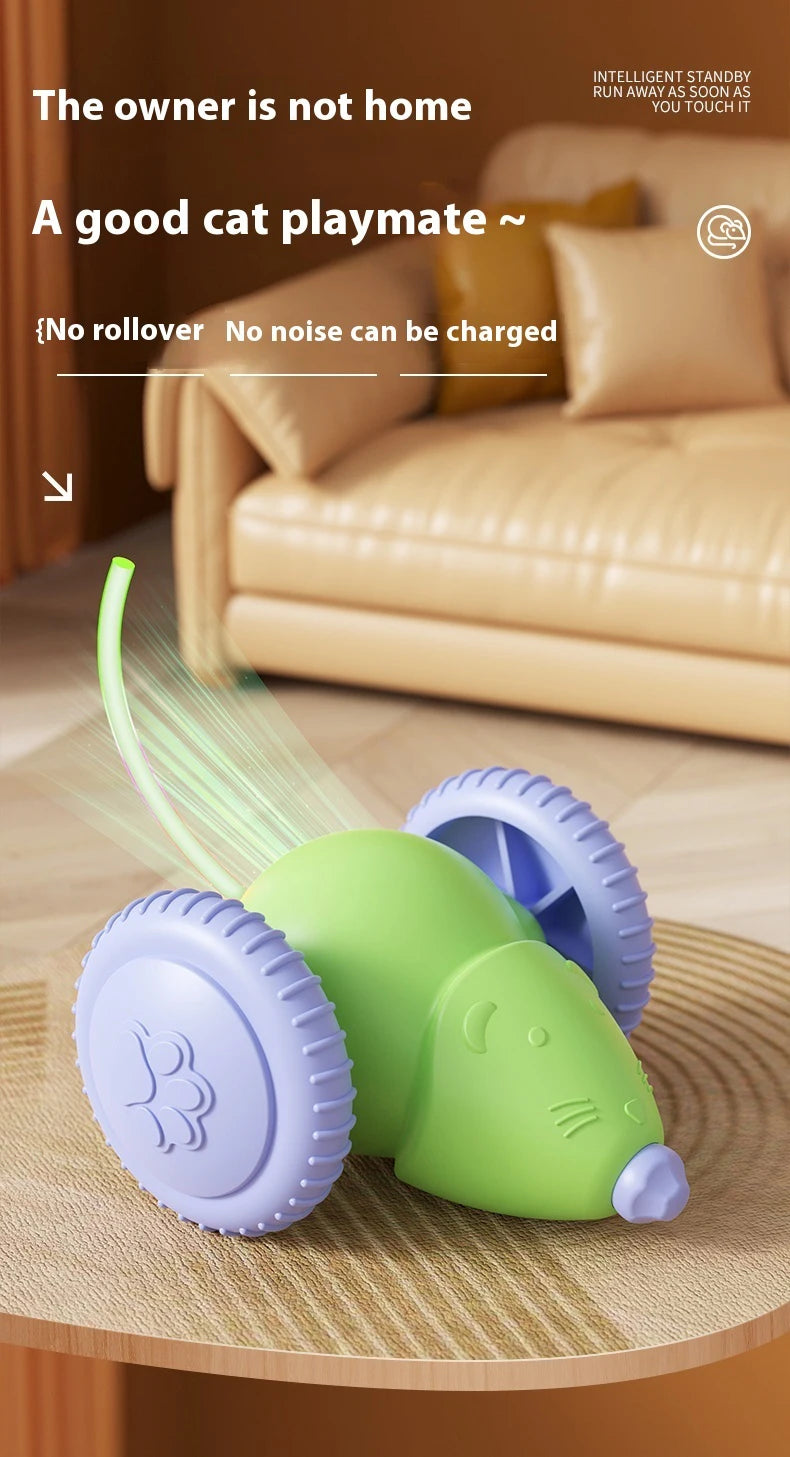 Electric Mouse Car