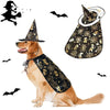 Halloween Costume, Cape And Hat Cool Outfit
