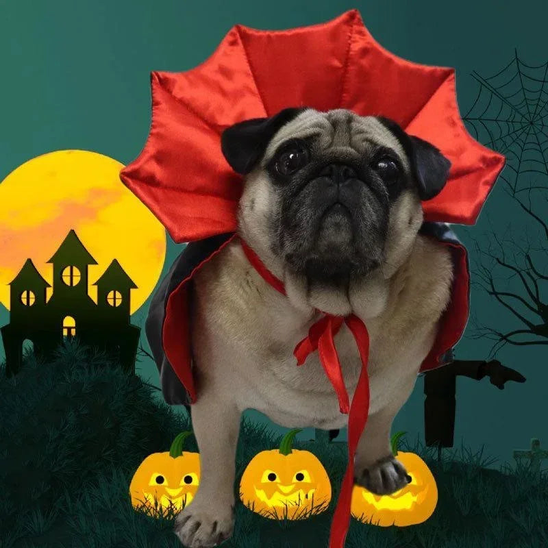 Halloween Costumes Cute Cosplay Vampire Cloak