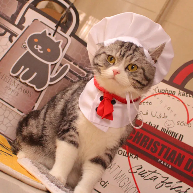 Halloween Cosplay Costumes Funny Chef Suit