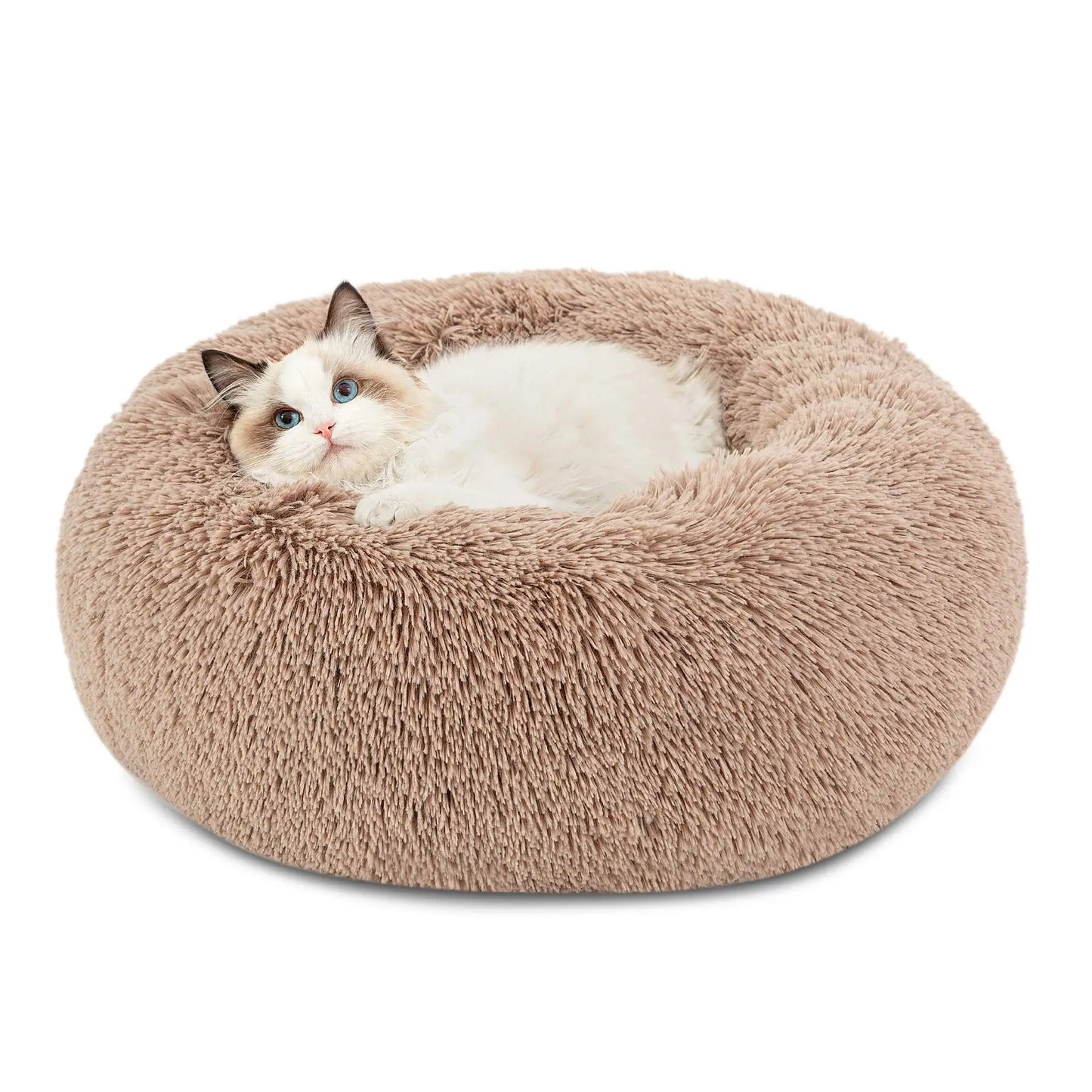 Calming Dog Bed