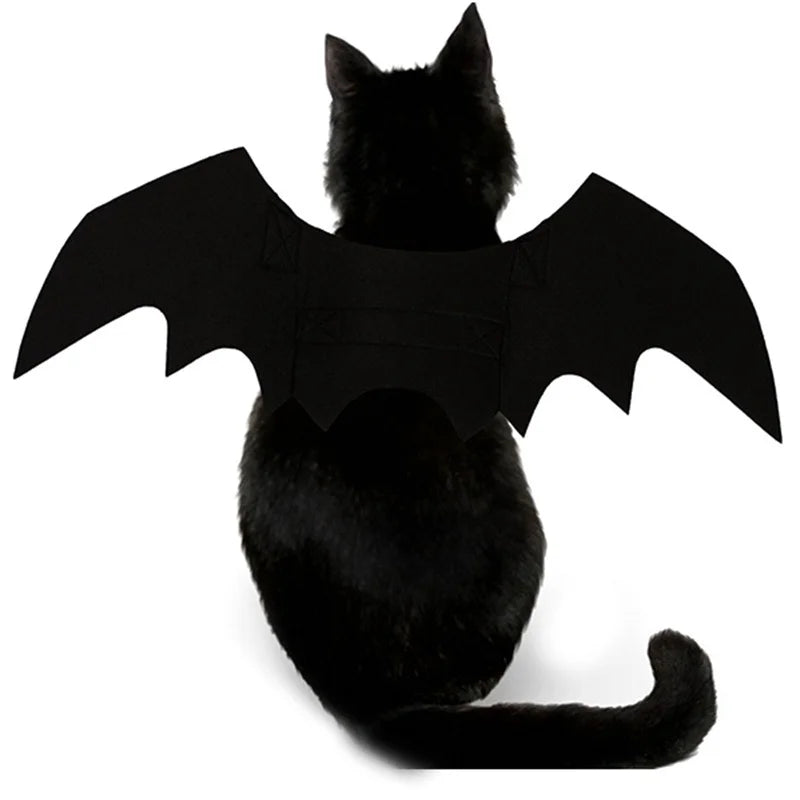 Halloween Black Bat Wings Harness