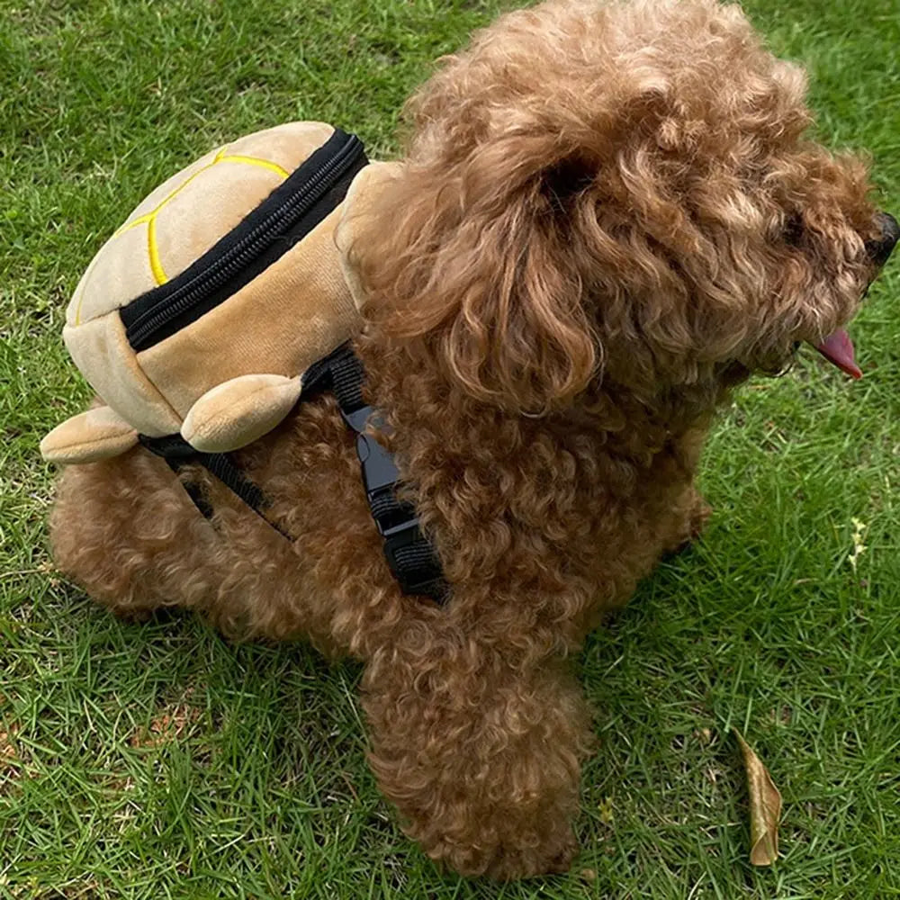 Turtle Shape Backpack