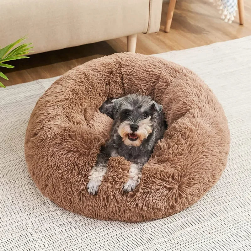 Super Soft Plush Bed