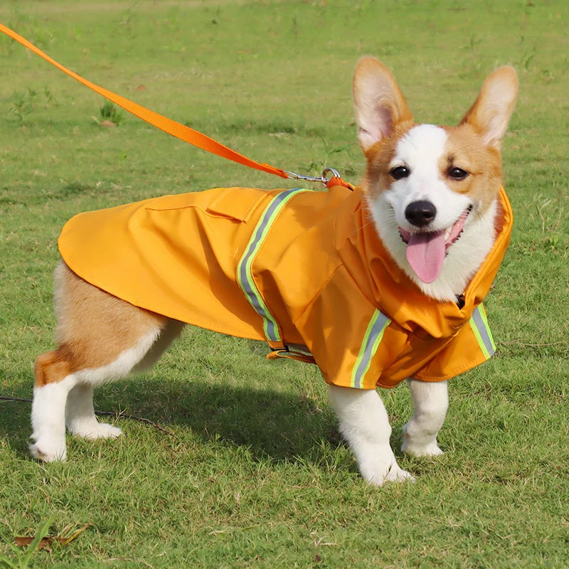 Large Dog Raincoat Corgi Cloak Style