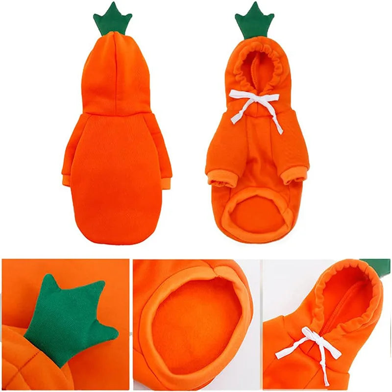 Cute Fruit Dogs Hoodies