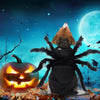 Halloween Pet Spider