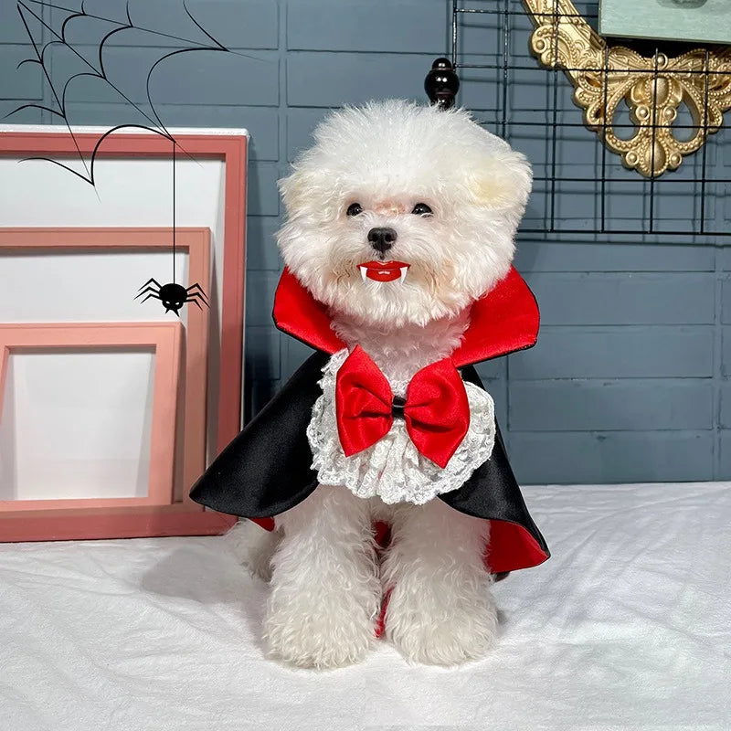 Pet Vampire Costumes