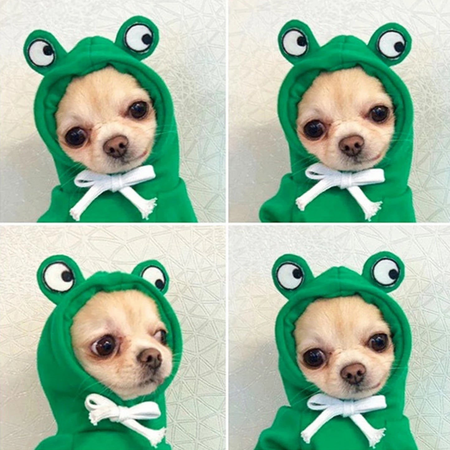 Carrot  Frog Hoodie