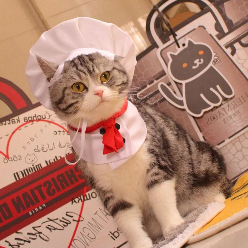 Halloween Cosplay Costumes Funny Chef Suit