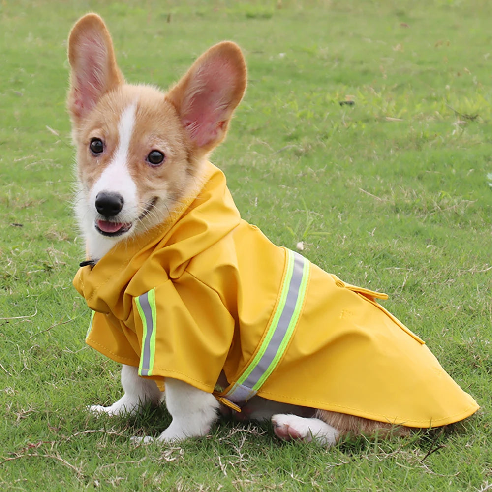 Large Dog Raincoat Corgi Cloak Style
