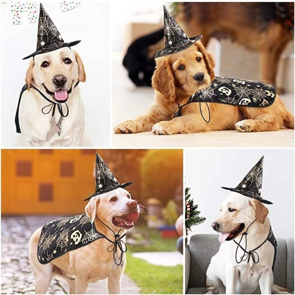 Pumpkin Halloween Costumes Cape