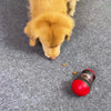 Treat Toy