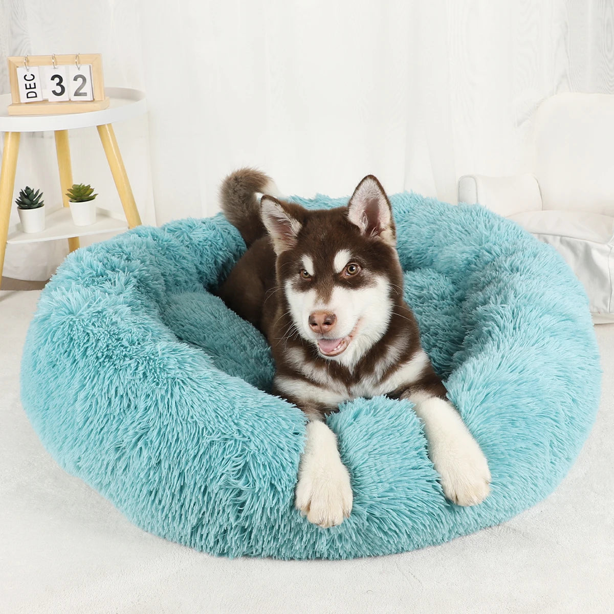 Large Round Donut Bed
